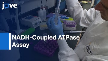 NADH-Coupled ATPase Assay for Screening Small Molecule Inhibitors | Protocol Preview