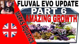 How To Set Up a Nano Reef Tank Part 6