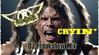 Aerosmith - Cryin' (DJ Freakshow Mix)