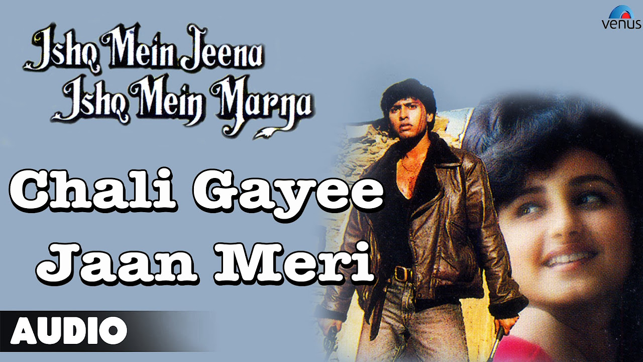 Chali Gayee Jaan Meri Full Audio Song  Ashif Shaikh Divya Dutta 
