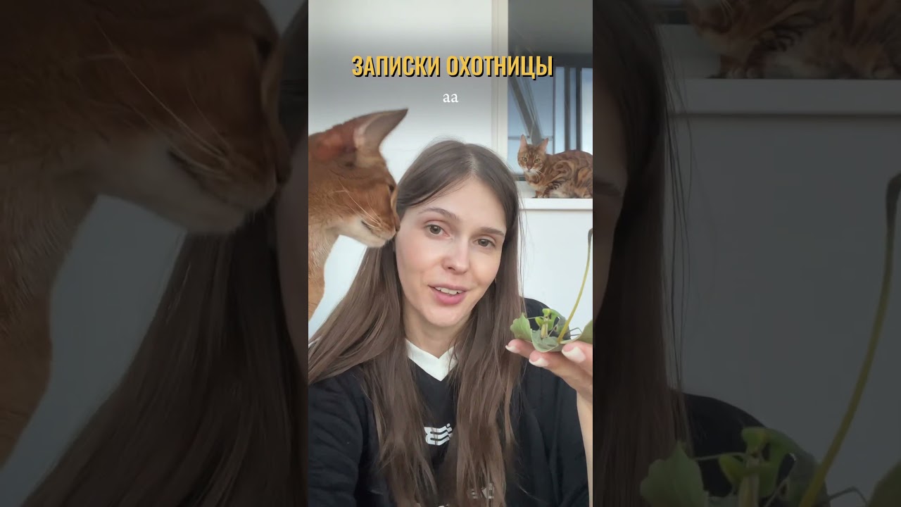 Я прожила с ним полтора месяца, а как сроднилась! Еще перестала бояться насекомых