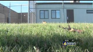 Renovations planned for Jefferson County Jail