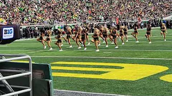 2025 Oregon Cheerleading Oregon State