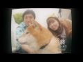 柴犬/ド真ん中ズン MV