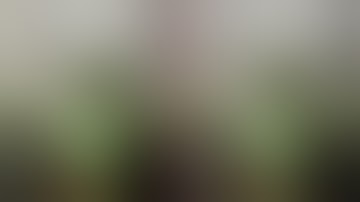 Mortal Kombat 11 – PS4 vs. PS4 Pro Graphics Comparison & Frame Rate Test