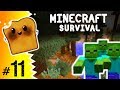 Minecraft Po Polsku: Survival - Moja Farma #11