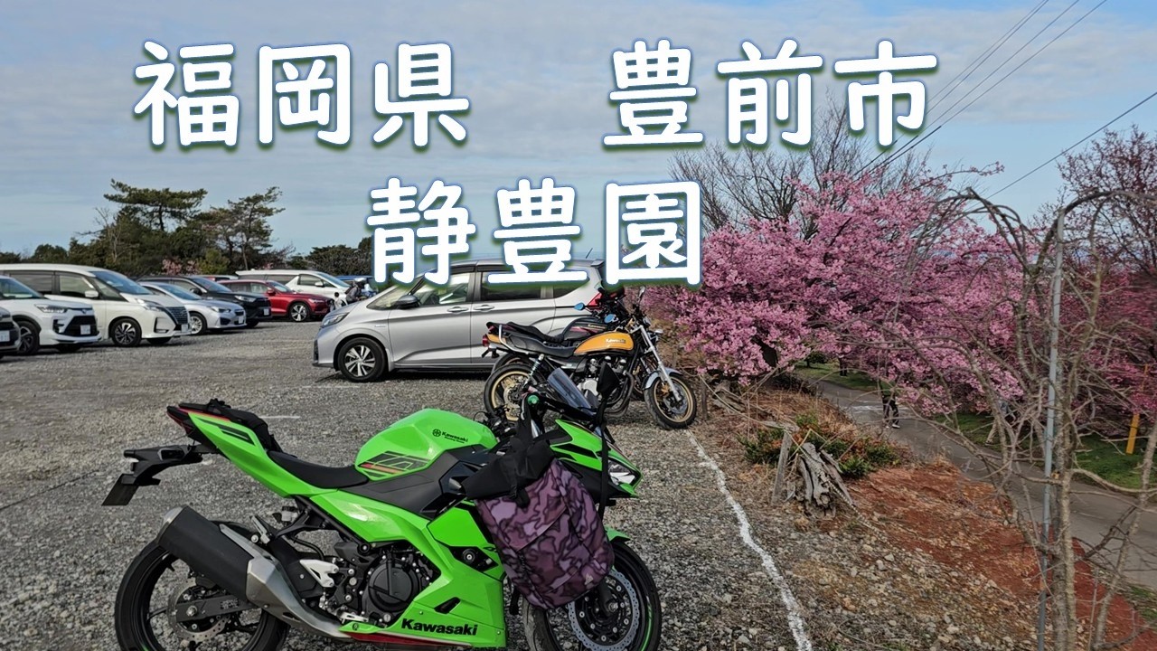 2026.02.28 静豊園の河津桜
