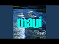 Maui feat readyaimfire27