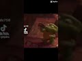 I’m bored I don’t know wat to post #funny #memes #shorts #turtle #viral #subscribe #like #fun #enjoy