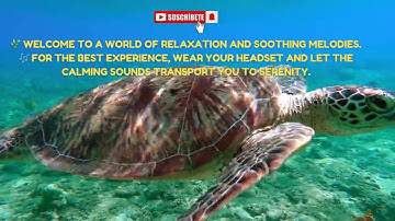 🧘‍♀️ Finding Peace in Uncertain Times | 3-Minute Guided Meditation