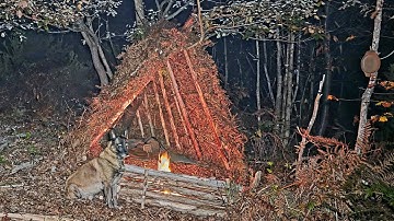 Survival in the Forest | Shelter, Campfire Cooking & Peaceful Nature with My Dog