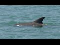 Marco Island Nature Bike Tour!