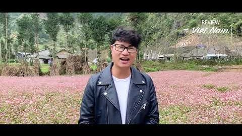 4K || HÀ GIANG MÙA TAM GIÁC MẠCH || Tuyệt đẹp mùa hoa trên cao nguyên đá Đồng Văn, Hà Giang