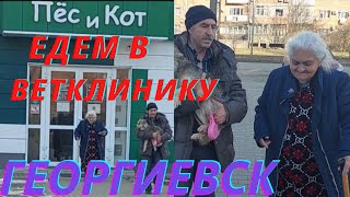 ЕДЕМ В ВЕТКЛИНИКУ  ГЕОРГИЕВСК.@семьягевондян.