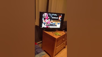 NASTIEST Spin Move On Deshawn Stephenson In NBA 2K13