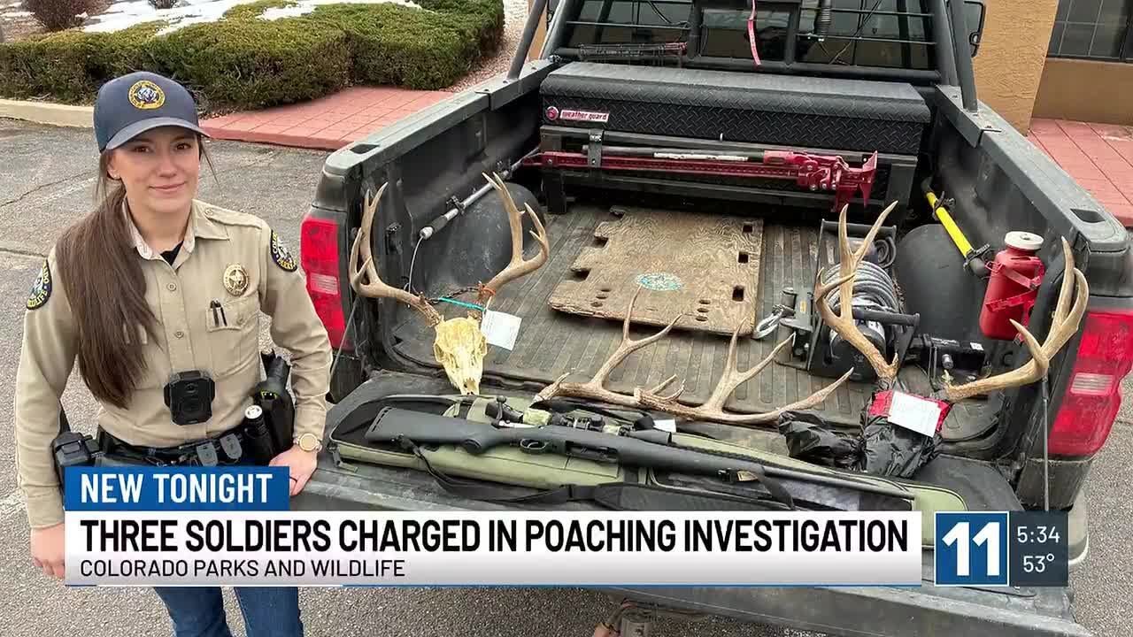 Трое солдат из Форт-Карсона обвинены в браконьерской охоте на оленей на территории военной базы и...