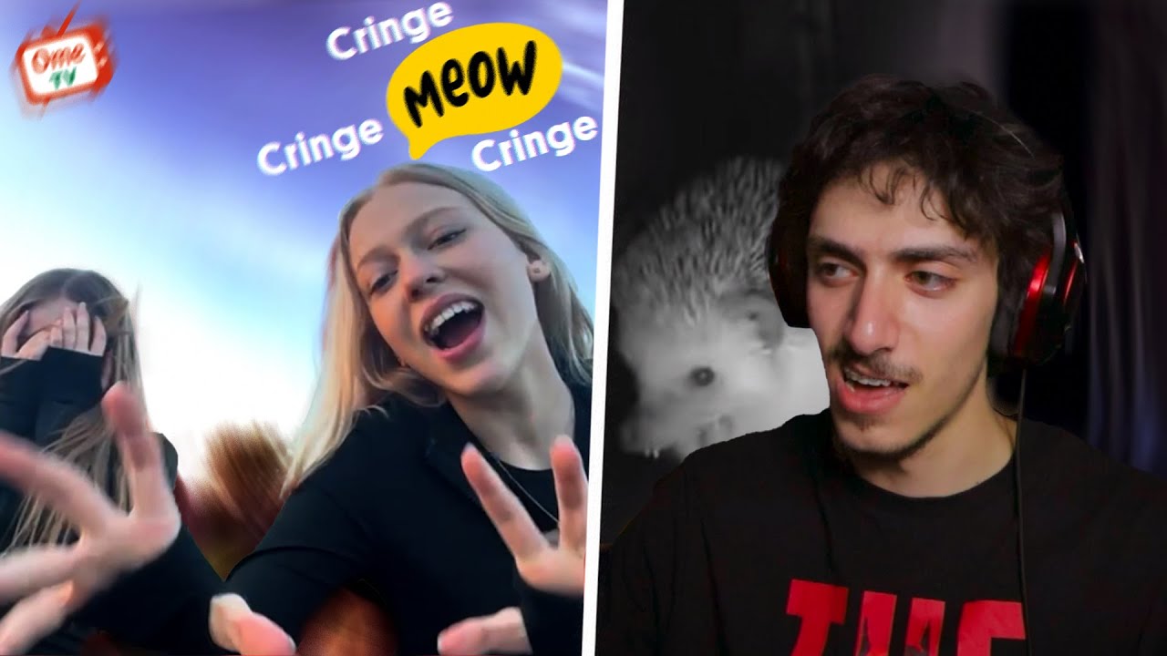 I Met MrBeast on Omegle