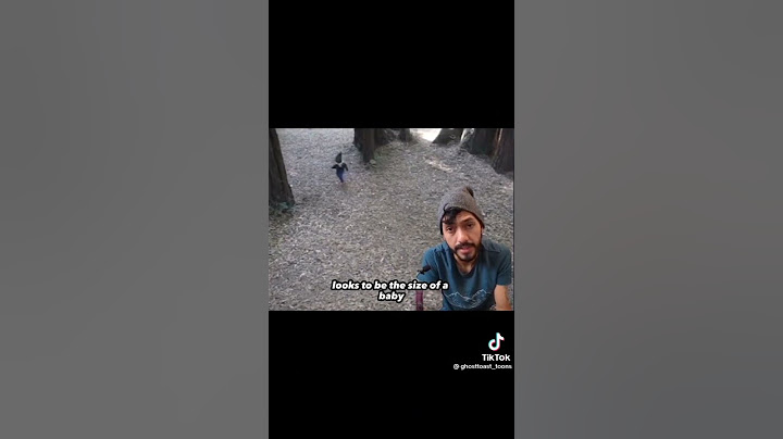 Real Gnome? #gnome #spooky #sighting #creepyTikTok #paranormalTikTok #gnomesighting #gnomes #wtf