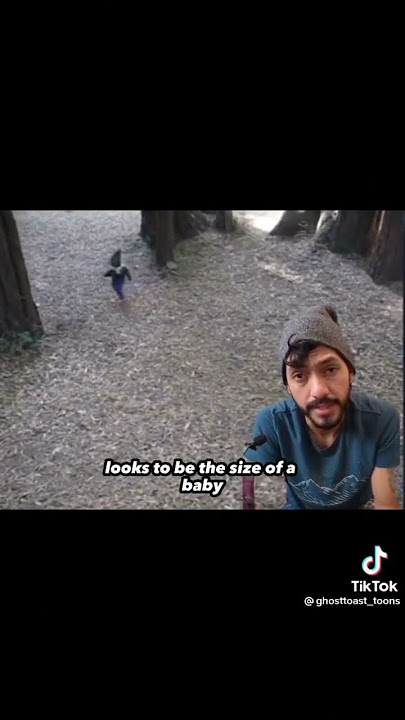 Real Gnome? #gnome #spooky #sighting #creepyTikTok #paranormalTikTok #gnomesighting #gnomes #wtf