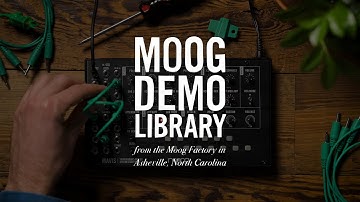 Moog Mavis | Unlocking Mavis