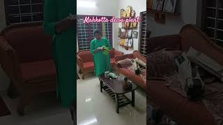 mahkotta dewa plant #plant#food #lifestyle #vlog#health#shorts#@Drsujithaanoop