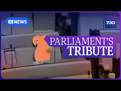 The emotional tributes for Helen Haines as Parliament resumes | 7.30