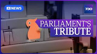 The emotional tributes for Helen Haines as Parliament resumes | 7.30
