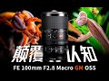 地表最强!这颗100GM微距镜头,足以颠覆所有昆虫摄影师的认知!!