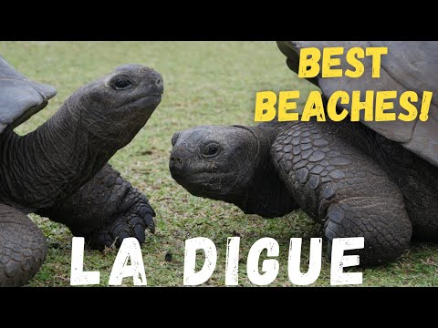 Best Beaches to Visit on La Digue Island, Seychelles (two-day itinerary and travel guide)