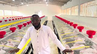 Cuniculture Moderne En Afrique, Lélevage De Lapin Nest Plus Un Élevage Non Conventionnel.