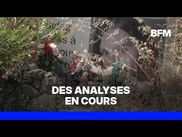 Affaire Jubillar: des ossements retrouvés près de Cagnac-les-Mines sur indication de Cédric Jubillar