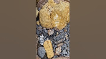 Spotting Ammonite Keels on the beach! 🪨🕵🏻‍♂️ #fossilhunting #fossils #shorts #coast #rock #beach