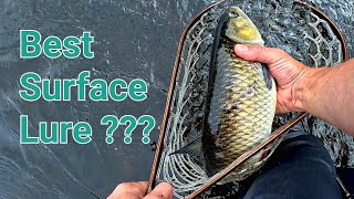 Best Surface Lure for Giant Pike and Giant Chub ???