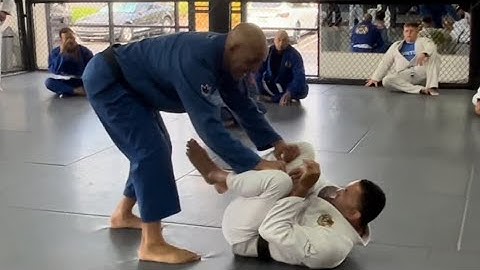 Toreando pass principles and variations