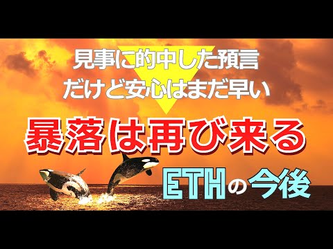 見事に的中した預言、だけど安心はまだ早い、暴落は再び来る［イーサリアム（ETH）の今後］