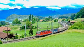 (4K) Swiss Trains | Spiez Ghei ~ BLS Bahn 2022