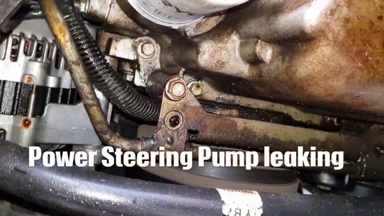 Worst Oil leaks EVER!! LS1 HOLDEN STATESMAN YouTube