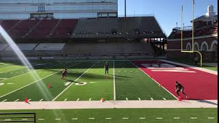Box Agility/COD Flag Drill