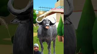 Httpsyoutubecomshortsuaay0d6dftssiu9mlnrk6ehm9pi6