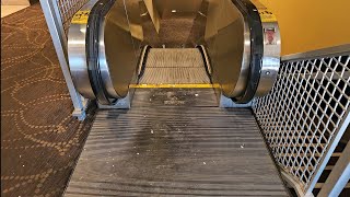 Schindler Escalator @ AMC Theatres - Southdale Center - Edina, MN