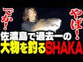 限界を超えたファイトで70cm超えの超大物を釣り上げるSHAKA in 佐渡島