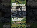 米海兵隊 M2 射撃 残弾処理 USMC 日米共同訓練 陸上自衛隊 japan self-defence forces #military #usmc #shorts