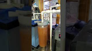 Micro-Hatcheries  120,000 Brook Trout eggs