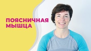 видео: Поясничная мышца / Подвздошно-поясничная мышца картинка: Поясничная мышца / Подвздошно-поясничная мышца