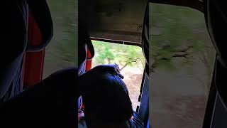 #bollywood #shortvideo ❣️🥀✅🙏🙏
