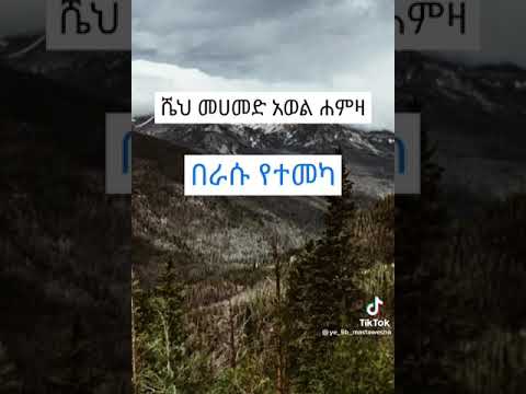 ሙሀመድ አወል ሀምዛ