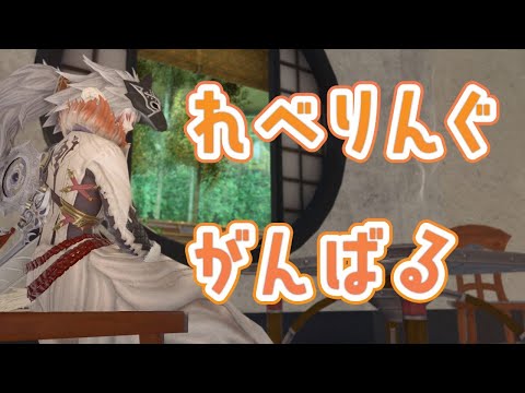 【 FF14 実況 】アンケートで決めた ジョブ の レベリング がんばる（ 視聴者参加型 ） ｜ FINALFANTASYXIV  視聴者参加型【 女性 Vtuber 生放送 】