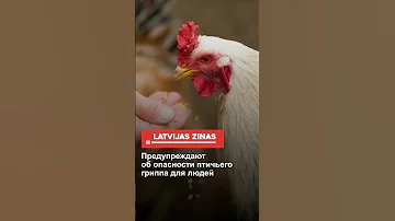 Предупреждают об опасности птичьего гриппа для людей