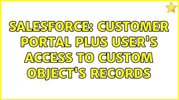 Salesforce: Customer Portal Plus user