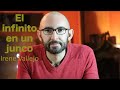 El Infinito en un junco, Irene Vallejo - Reseña